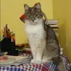 Отзыв от Мария Богданова